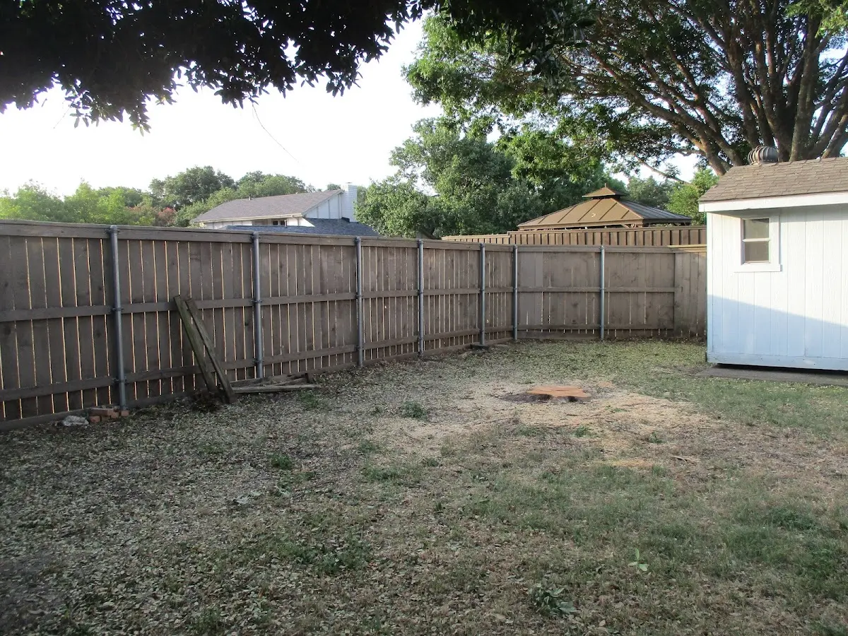 Cleared yard after professional tree removal in New Llano